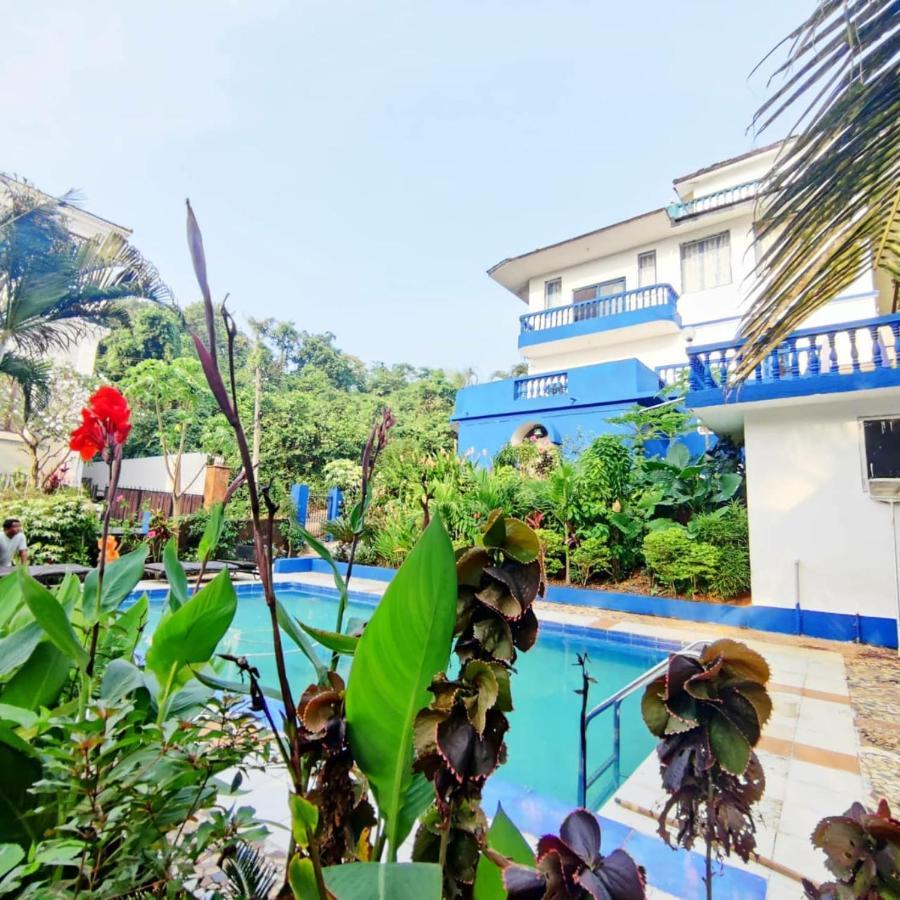 Amazing Hilltop 4 Bhk Villa With Private Pool Near 坎多林 外观 照片